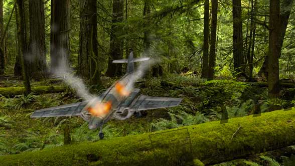 Wow Plane Crashed Forest Escape